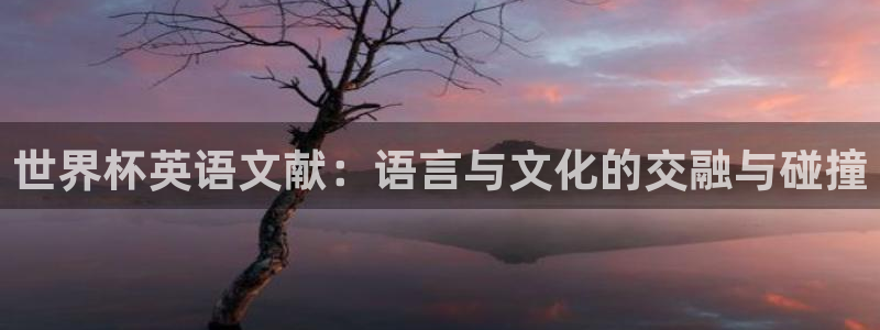 2026年足球世界杯赛程时间表：世界杯英语文献：语言与文化的交融与碰撞