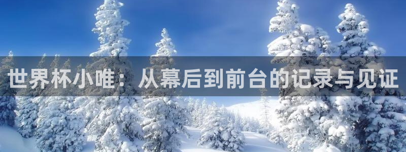 世界杯球队：世界杯小唯：从幕后到前台的记录与见证