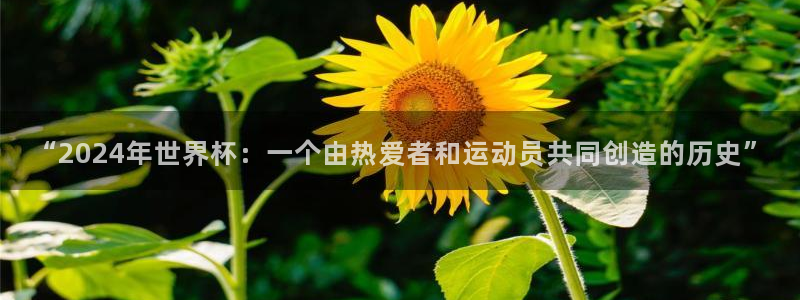 女足世界杯直播在线观看免费高清：“2024年世界杯：一个由热爱者和运动员共同创造的历史”