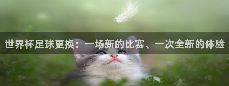 英格兰联赛杯直播：世界杯足球更换：一场新的比赛、一次全新的体验