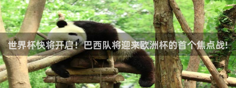 世预赛赛程表：世界杯快将开启！巴西队将迎来欧洲杯的首个焦点战!