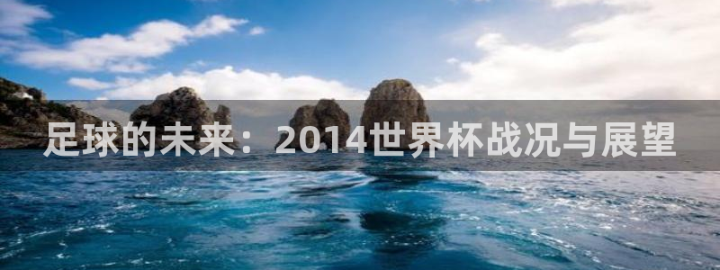 世界杯2026预选赛：足球的未来：2014世界杯战况与展望