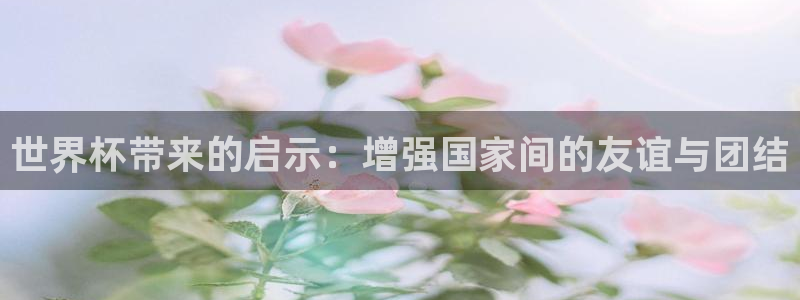 世界杯 2026：世界杯带来的启示：增强国家间的友谊与团结