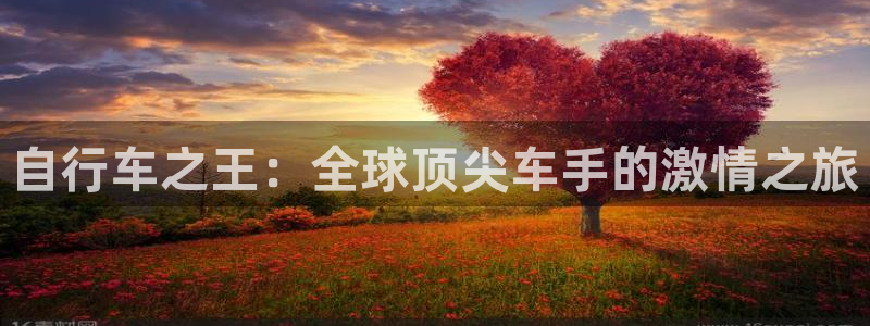 世界杯官网入口：自行车之王：全球顶尖车手的激情之旅