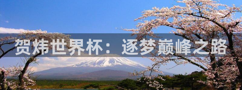 2006年世界杯：贺炜世界杯：逐梦巅峰之路