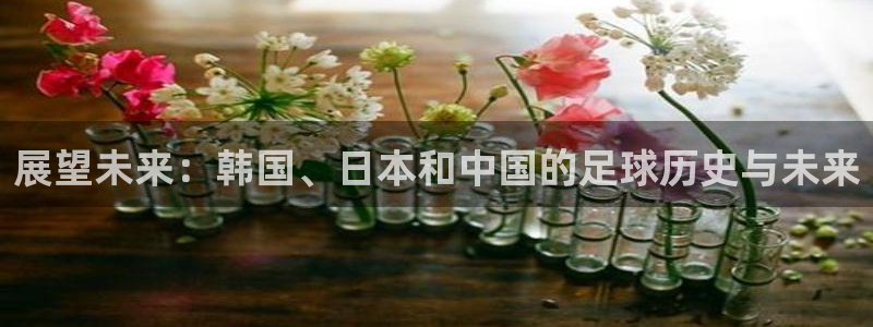 2026年男足世界杯：展望未来：韩国、日本和中国的足球历史与未来