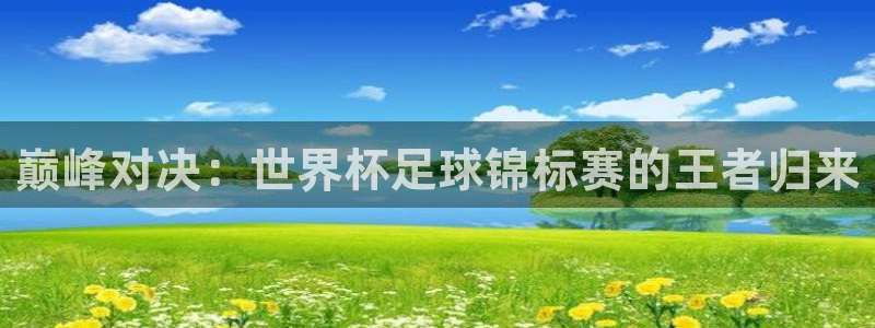 世界杯预选赛欧洲赛区赛程：巅峰对决：世界杯足球锦标赛的王者归来