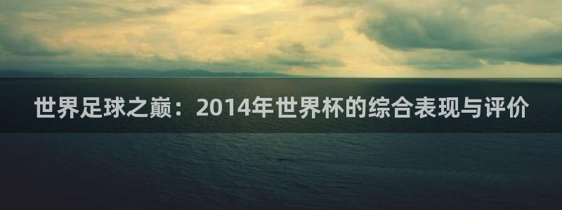 2026年世界杯直播平台：世界足球之巅：2014年世界杯的综合表现与评价