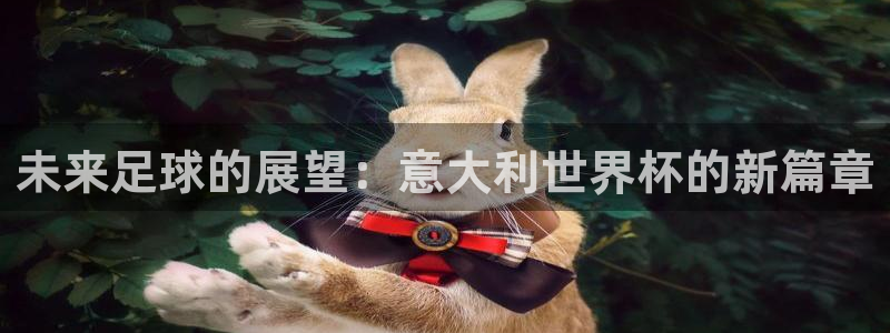 世界杯足球：未来足球的展望：意大利世界杯的新篇章
